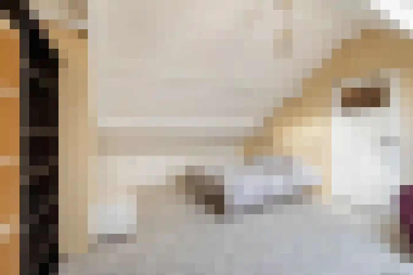 Kuringen 19 Zevenbergen thumbnail 52