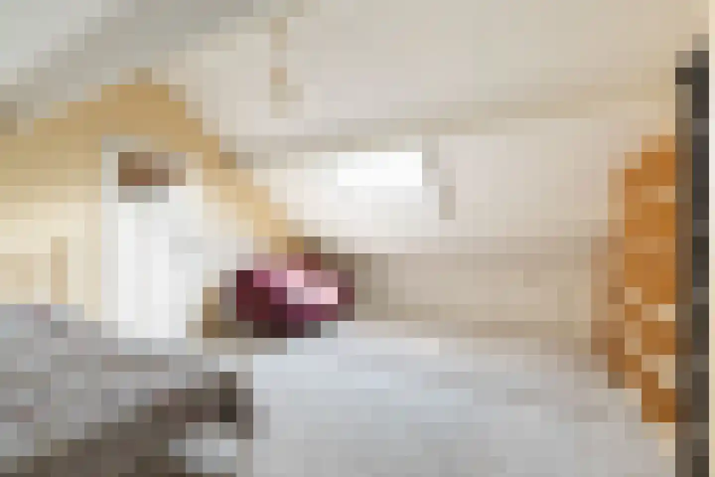 Kuringen 19 Zevenbergen thumbnail 53