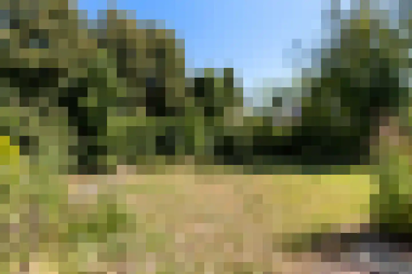 Kuringen 19 Zevenbergen thumbnail 56