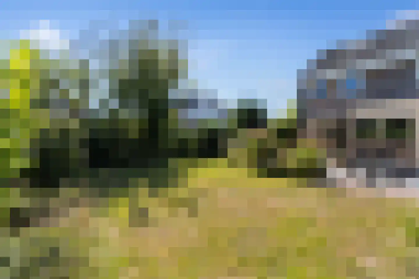 Kuringen 19 Zevenbergen thumbnail 57