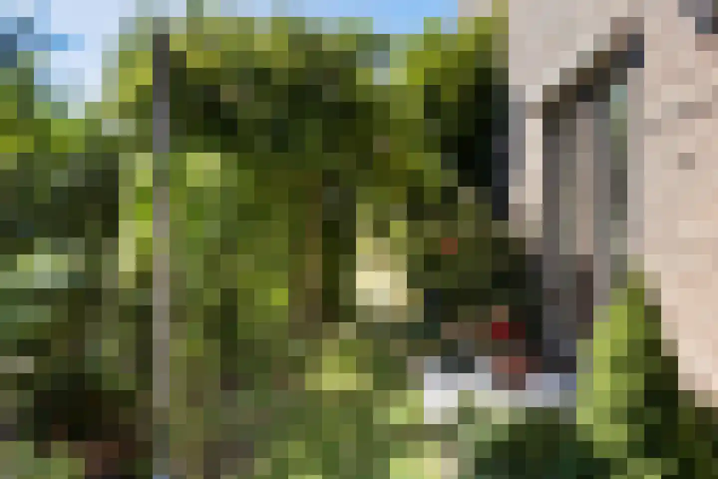 Kuringen 19 Zevenbergen thumbnail 61