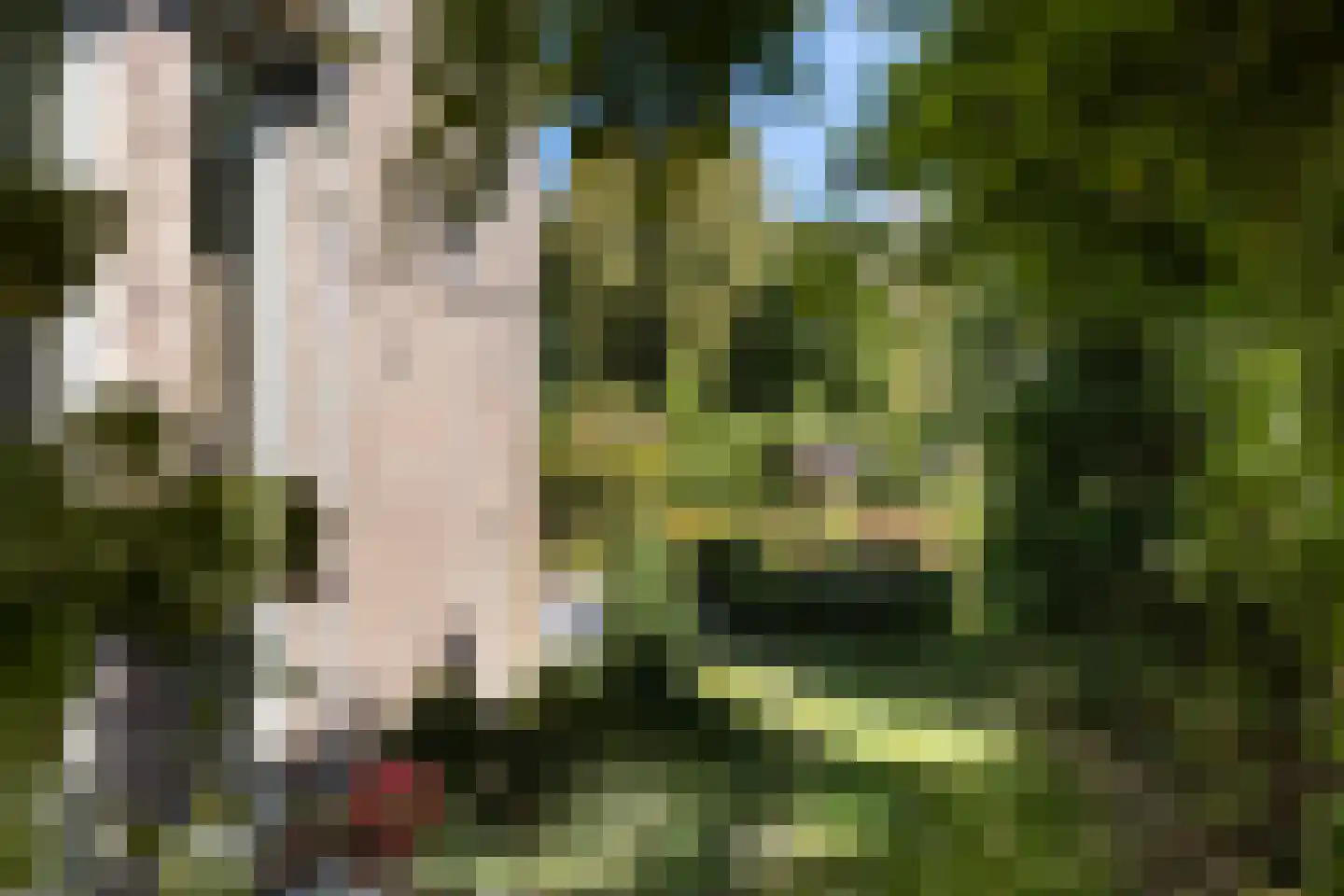 Kuringen 19 Zevenbergen thumbnail 62