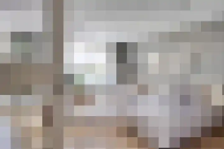 Kurkeind 17 Best thumbnail 10