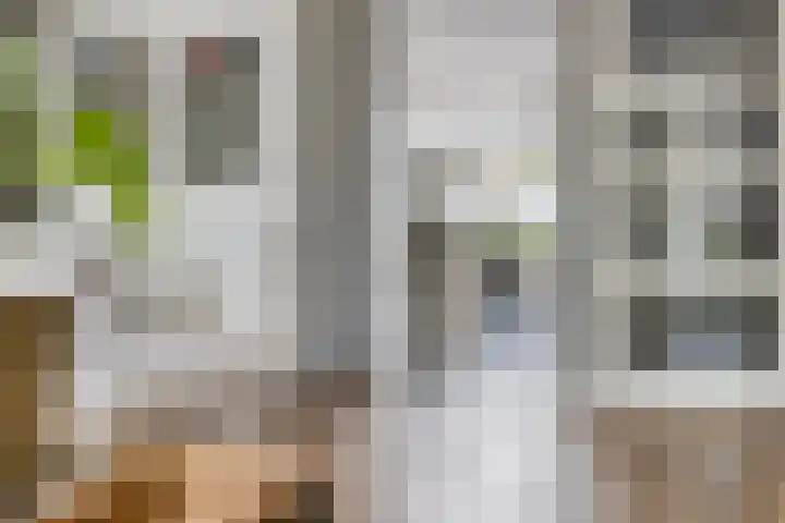 Kurkeind 17 Best thumbnail 15