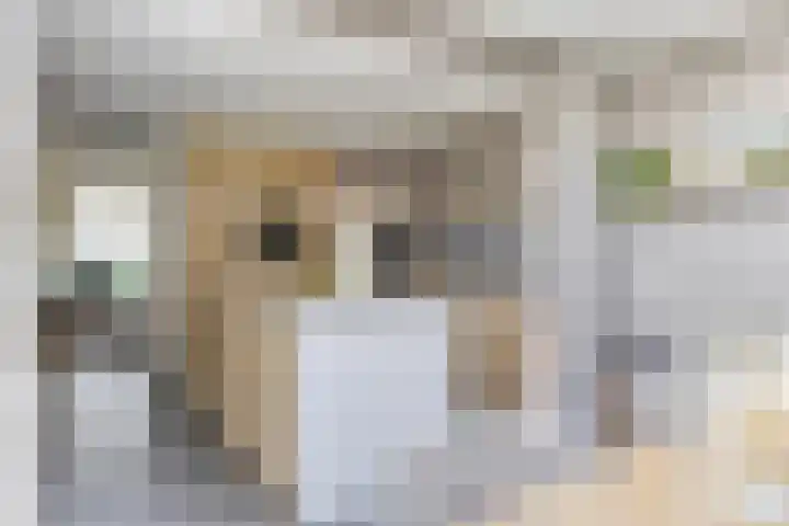 Kurkeind 17 Best thumbnail 16