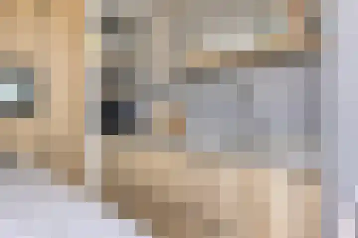 Kurkeind 17 Best thumbnail 17