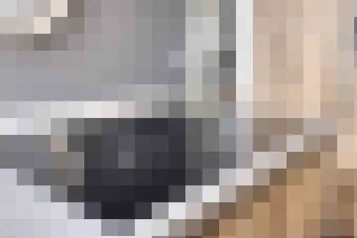 Kurkeind 17 Best thumbnail 18