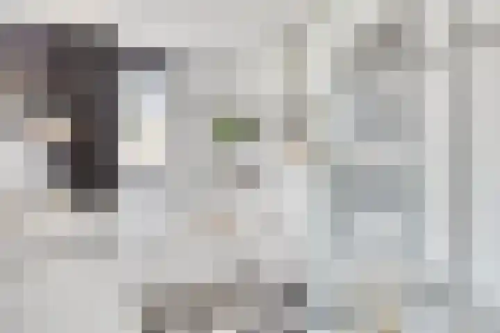 Kurkeind 17 Best thumbnail 26