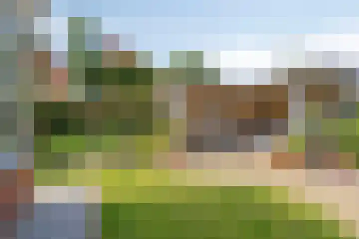 Kurkeind 17 Best foto 3