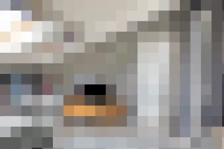 Kurkeind 17 Best thumbnail 36