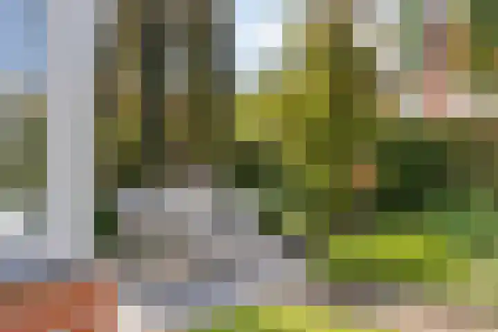 Kurkeind 17 Best thumbnail 39