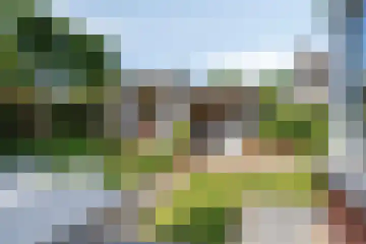 Kurkeind 17 Best thumbnail 40