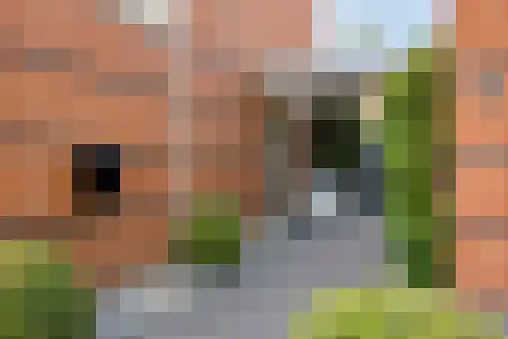 Kurkeind 17 Best thumbnail 5