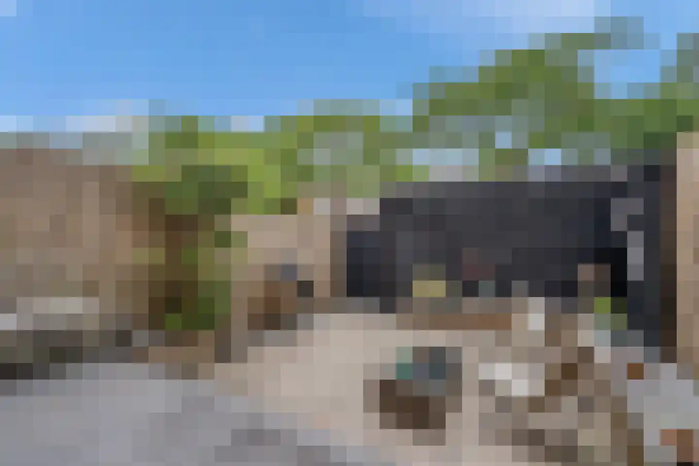 Kurkhout 22 Zoetermeer thumbnail 11