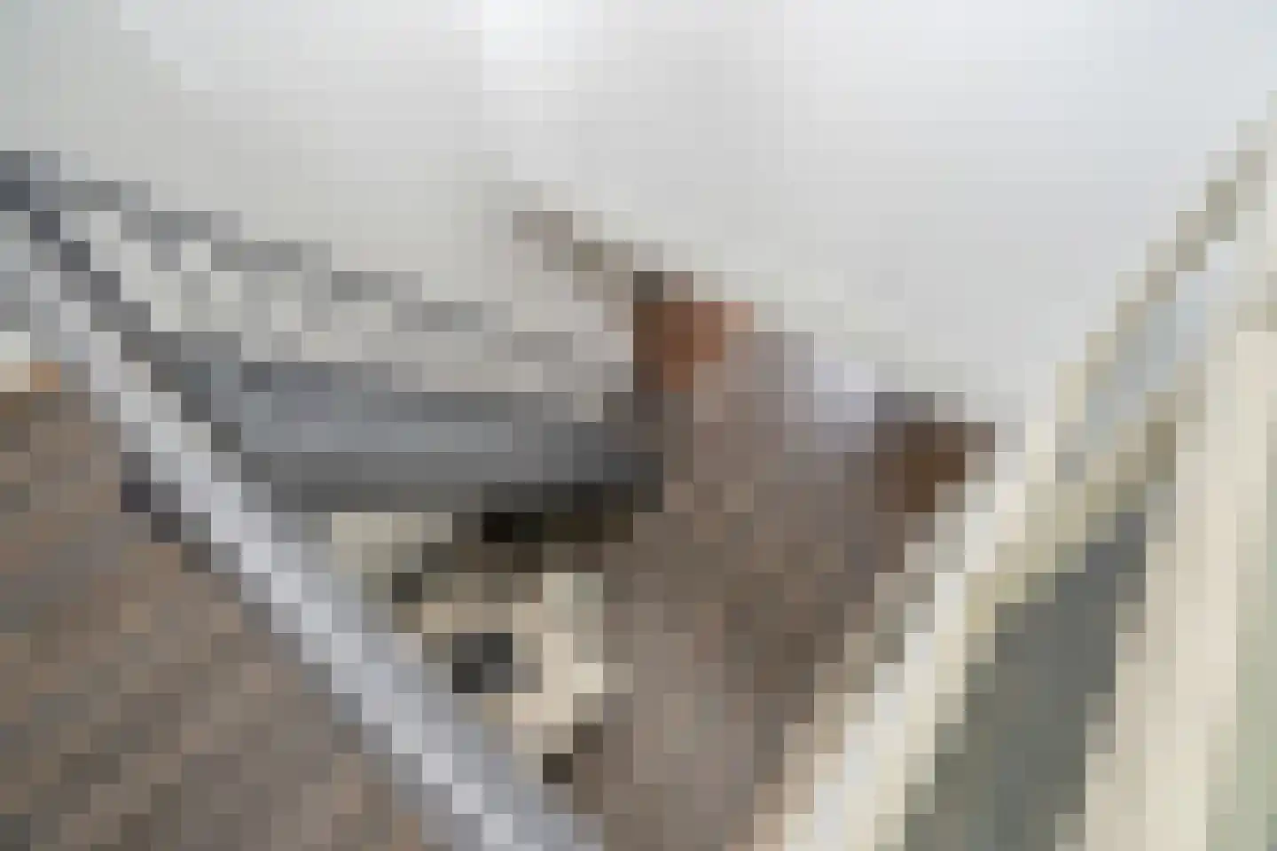 Kurkhout 22 Zoetermeer thumbnail 15