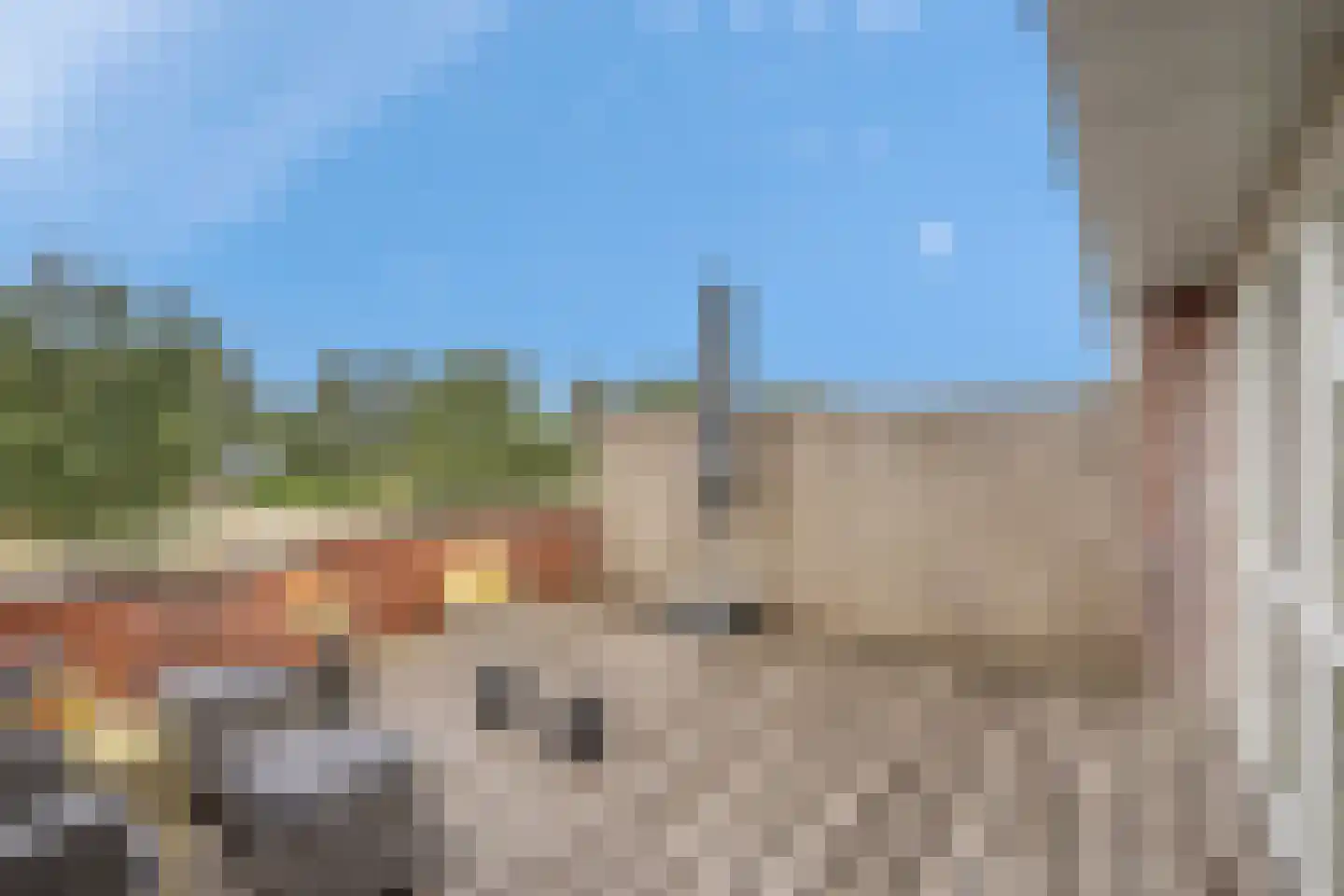 Kurkhout 22 Zoetermeer thumbnail 38