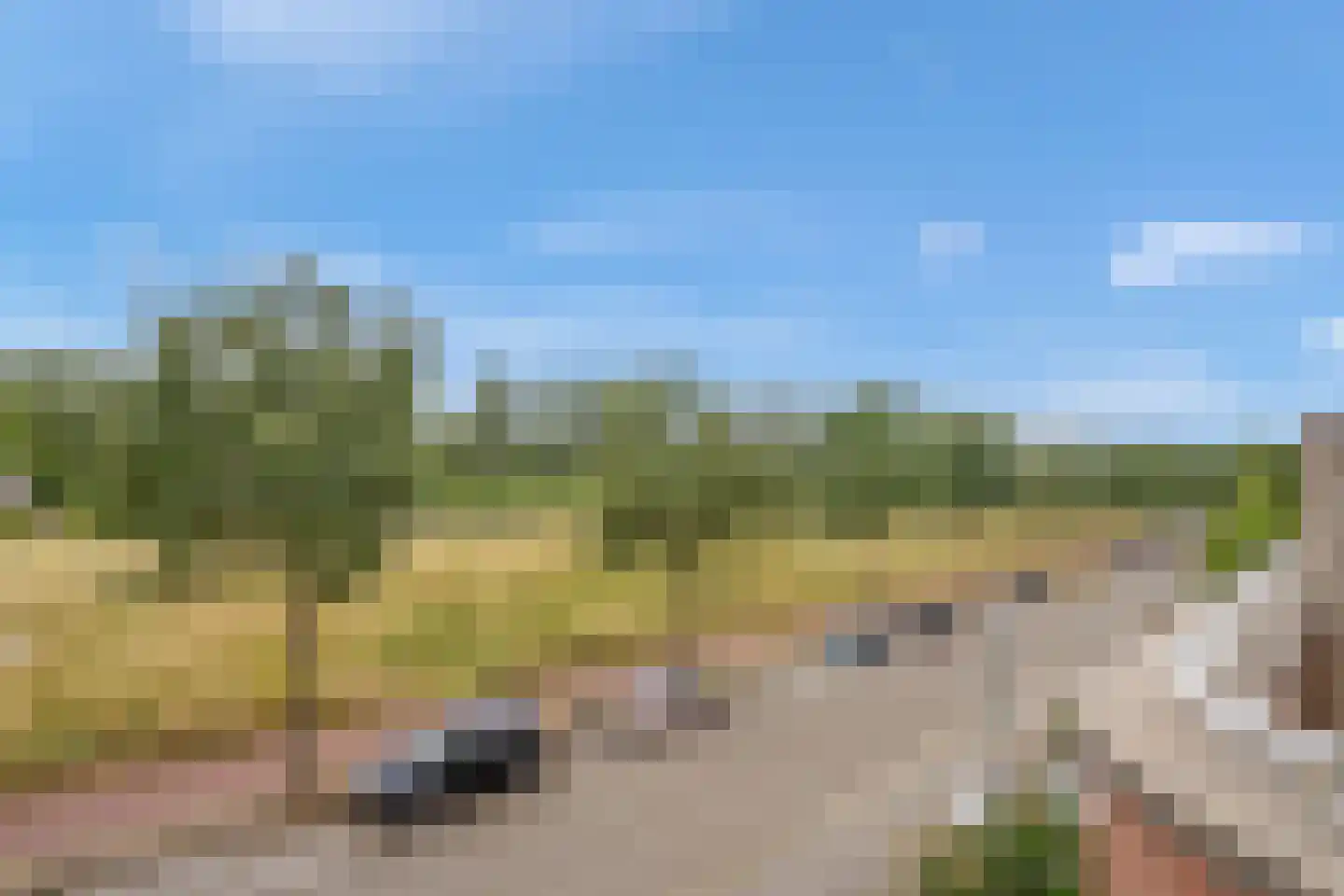 Kurkhout 22 Zoetermeer thumbnail 4