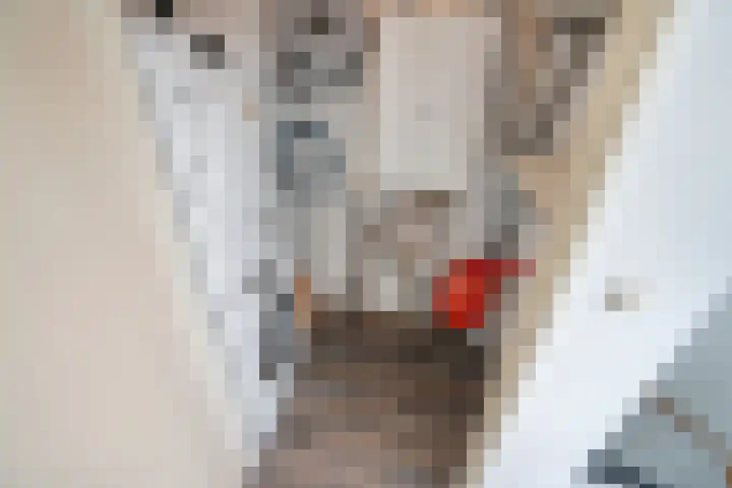 Kurkhout 22 Zoetermeer thumbnail 40