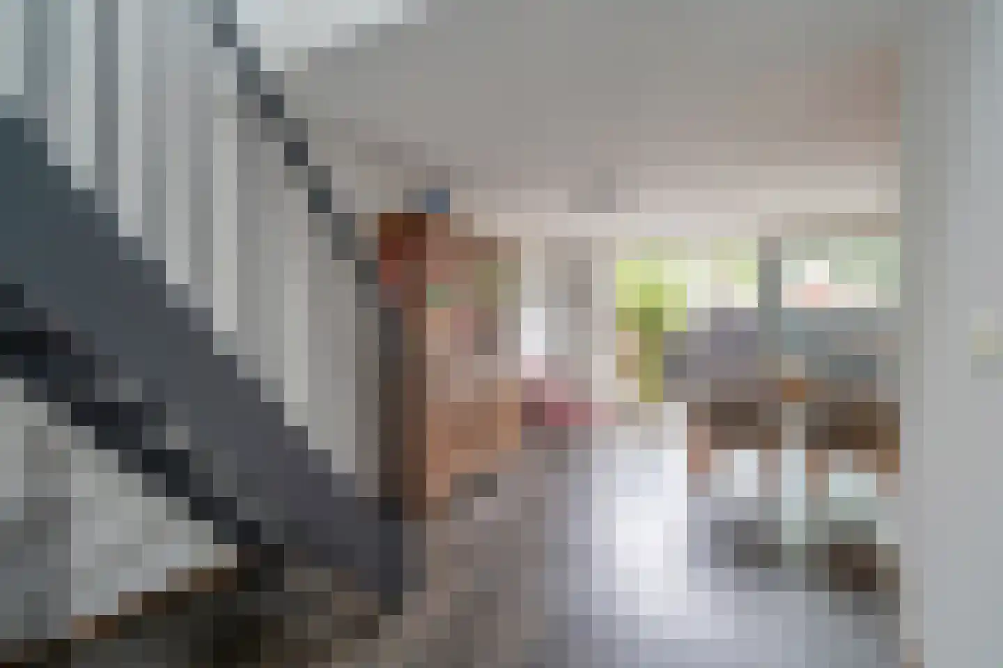 Kurkhout 22 Zoetermeer thumbnail 6