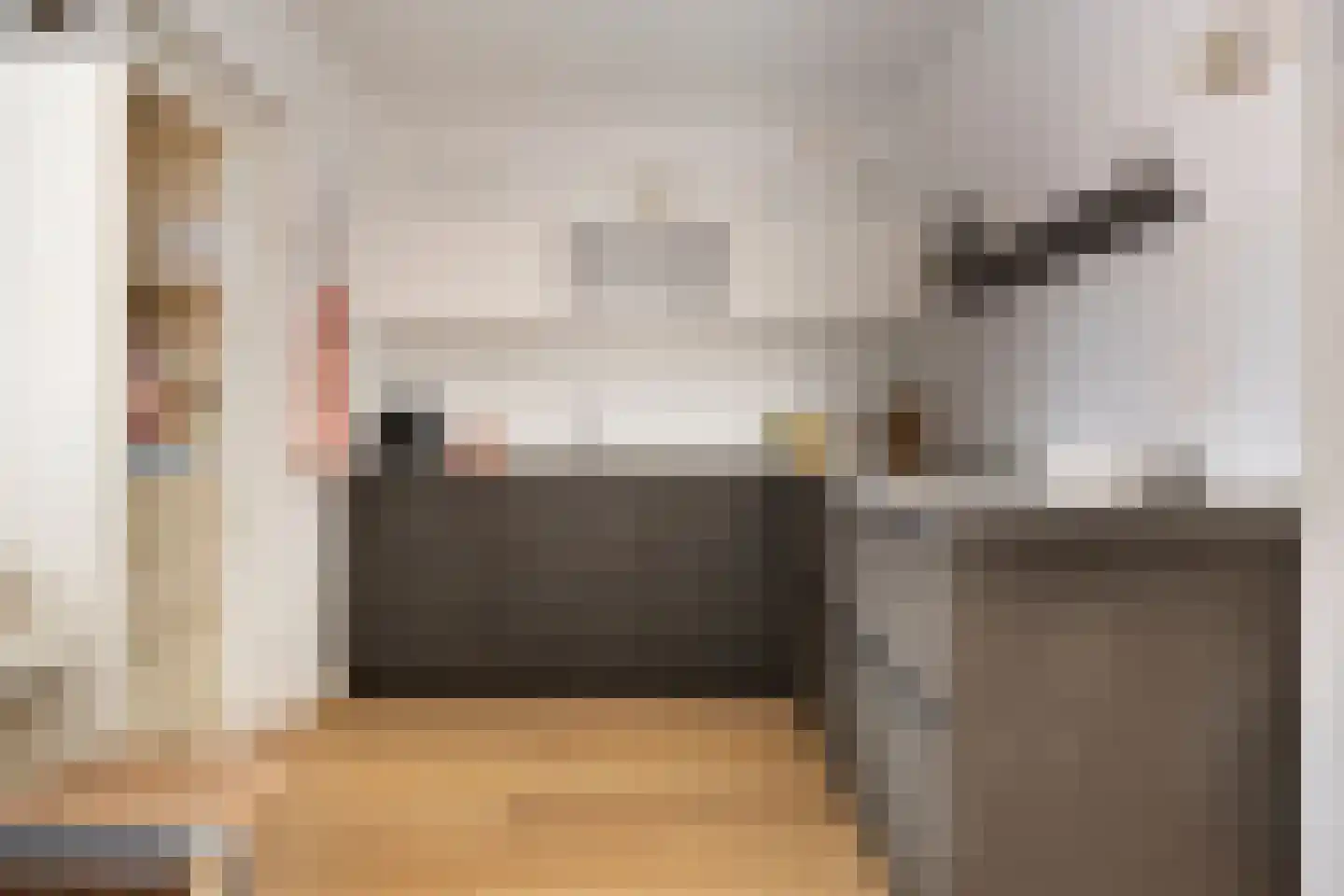 Kurosawastrook 8 Zoetermeer thumbnail 11