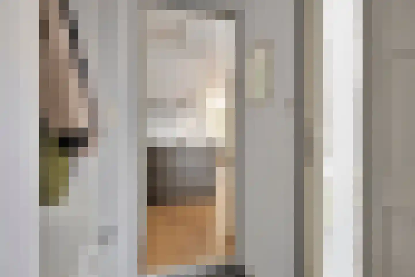 Kurosawastrook 8 Zoetermeer thumbnail 17
