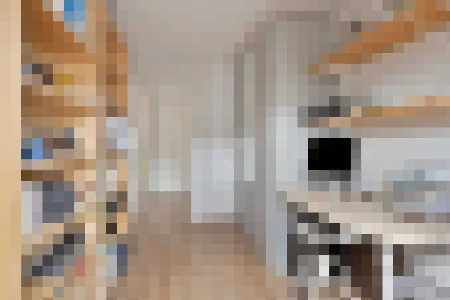 Kurosawastrook 8 Zoetermeer thumbnail 25
