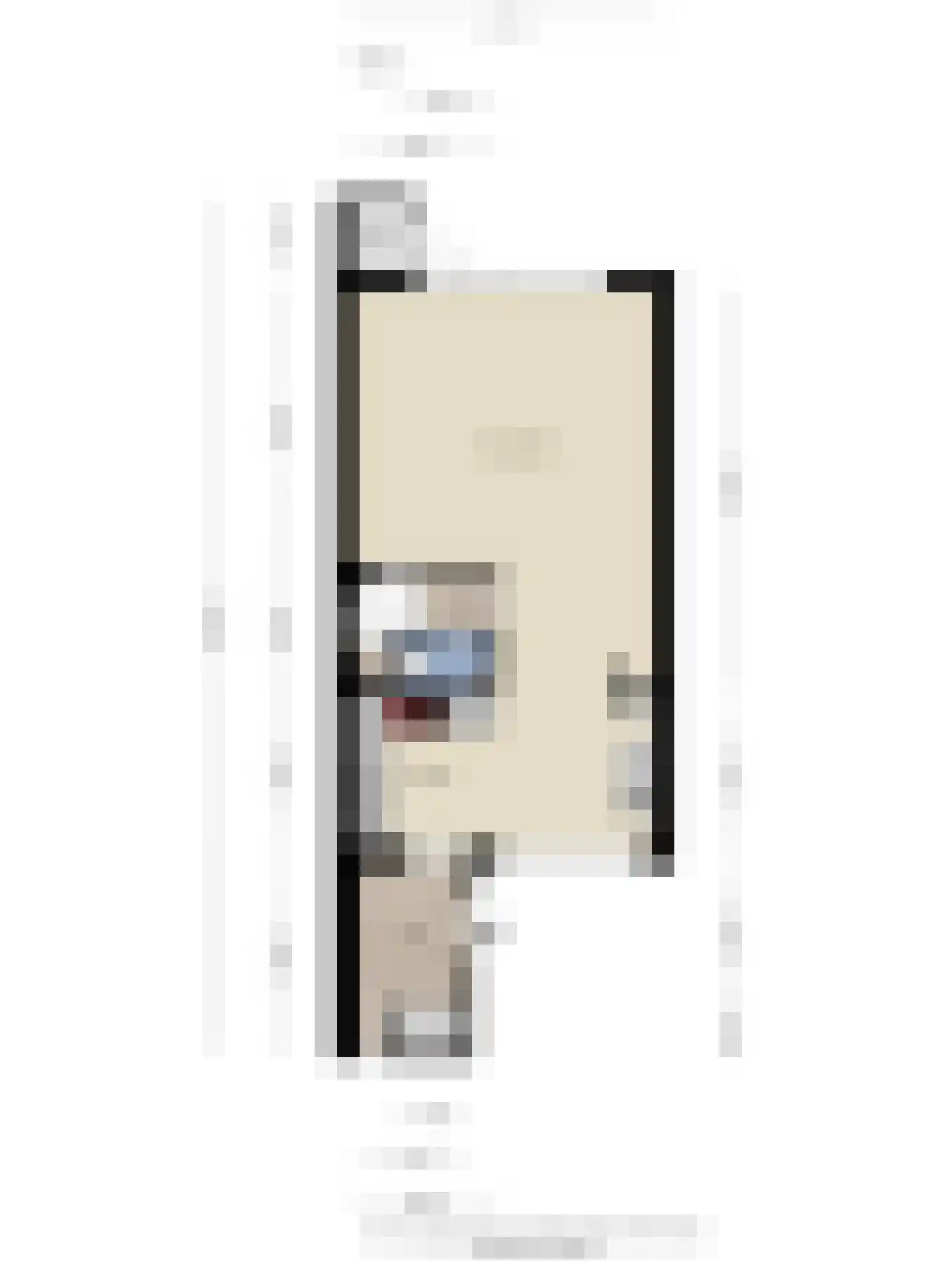Kurosawastrook 8 Zoetermeer thumbnail 37