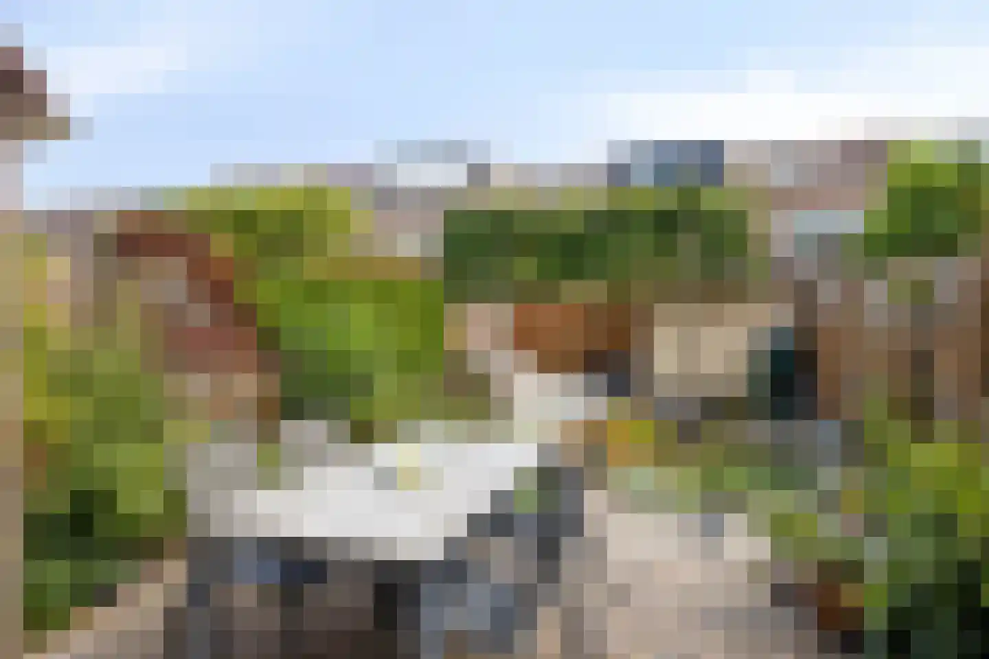 Kurosawastrook 8 Zoetermeer thumbnail 5