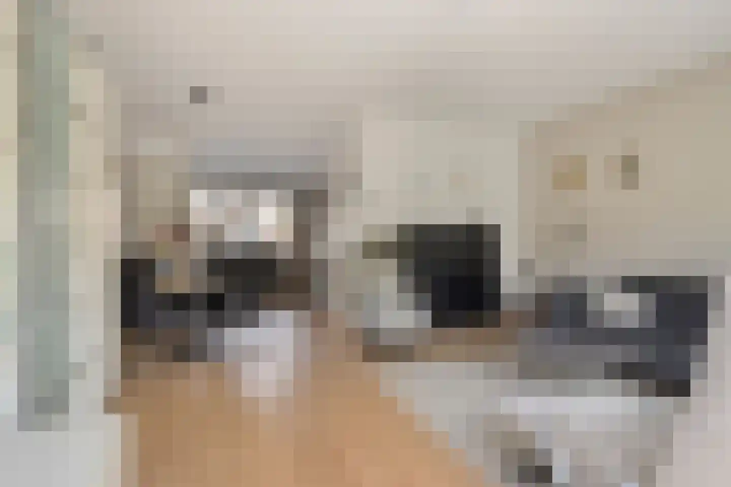 Kurosawastrook 8 Zoetermeer thumbnail 6