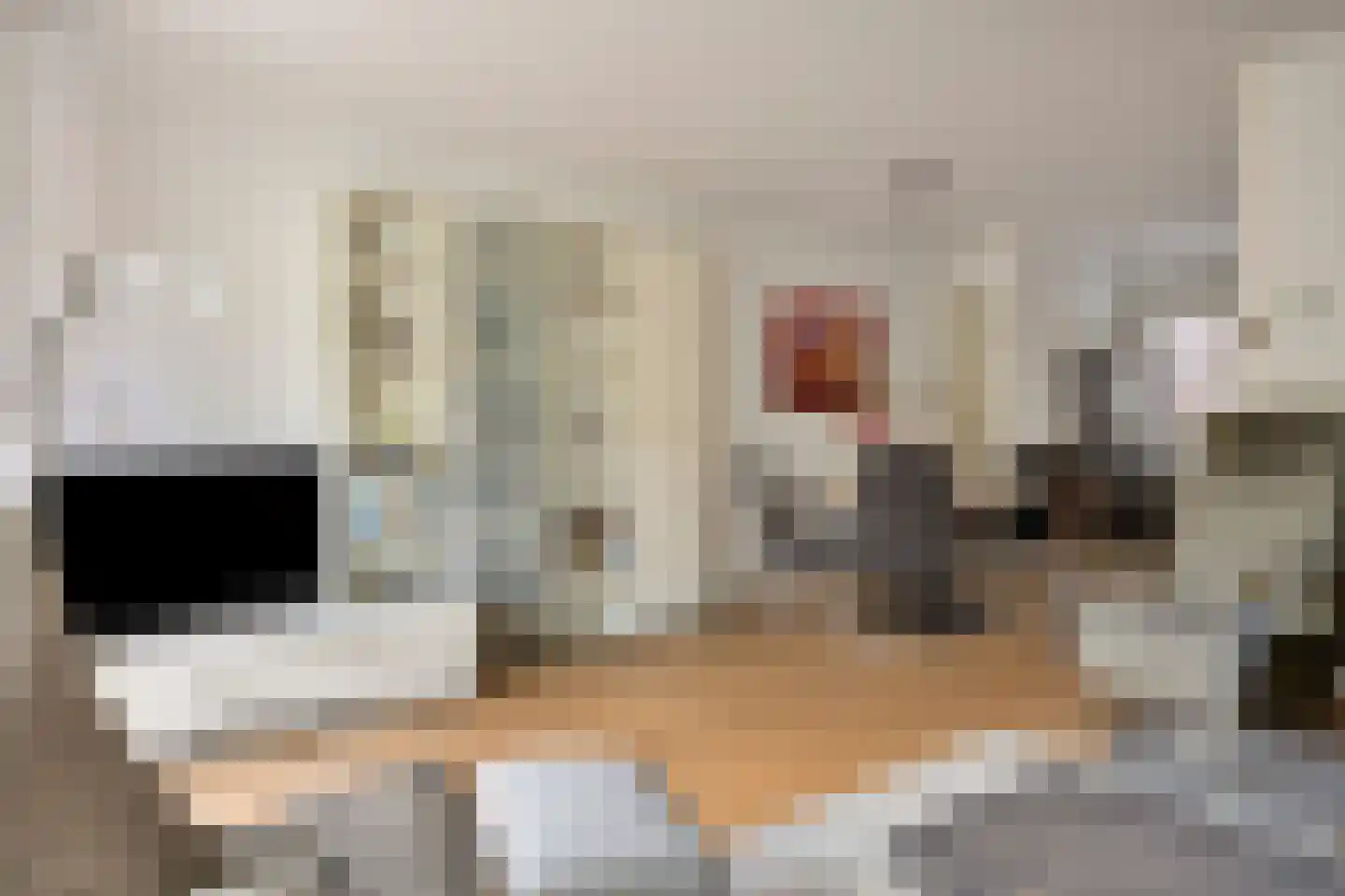 Kurosawastrook 8 Zoetermeer thumbnail 7
