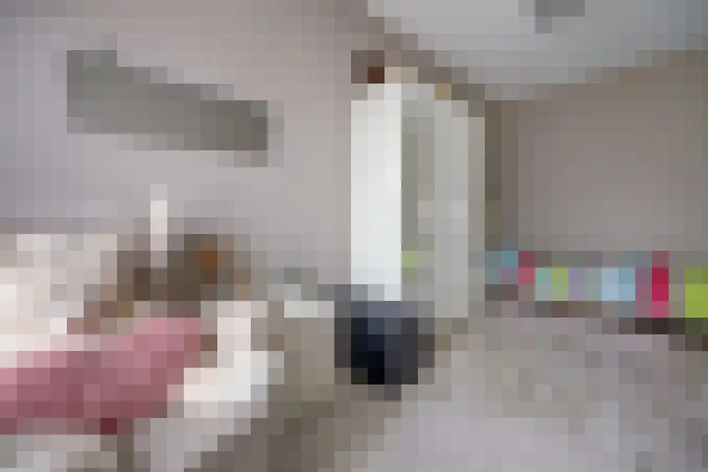 Kurt Schwittersstraat 10 Rotterdam thumbnail 28