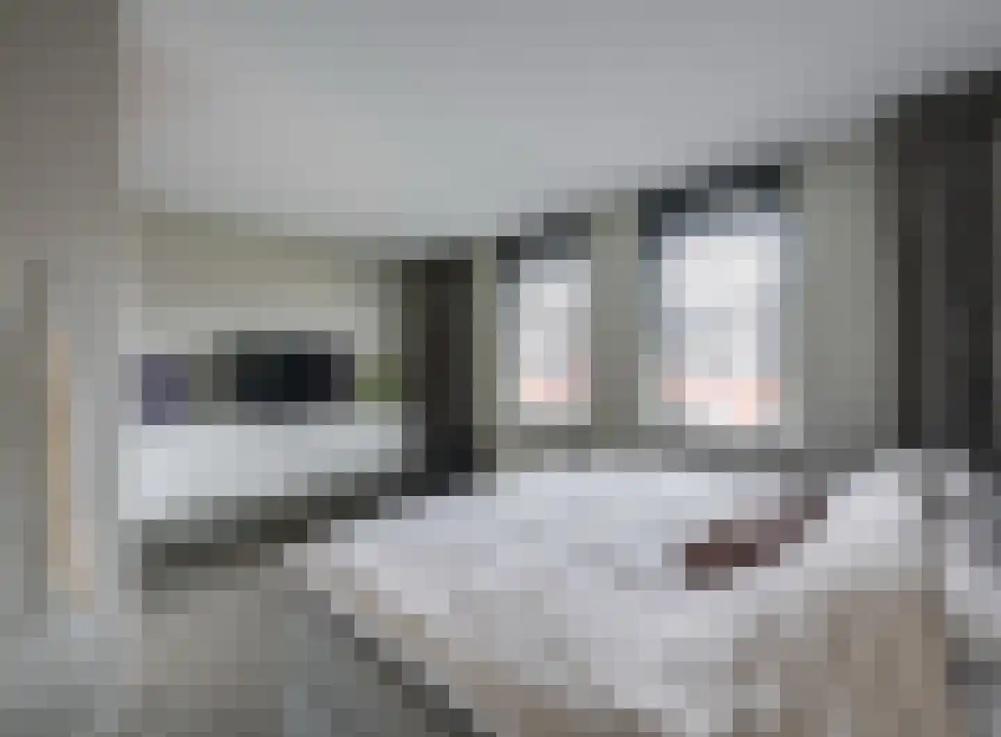 Kurt Schwittersstraat 19 Rotterdam thumbnail 19