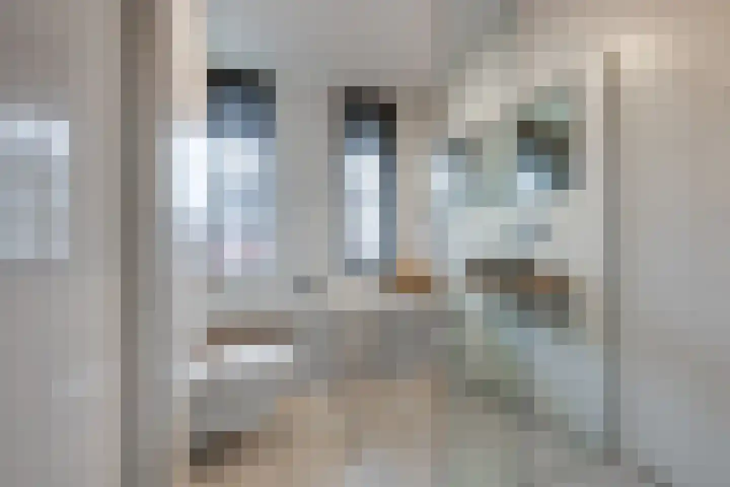 Kurt Schwittersstraat 19 Rotterdam thumbnail 22