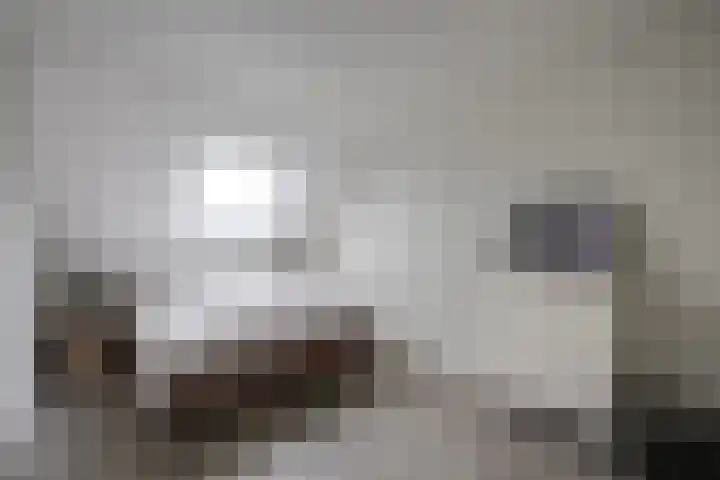 Kurt Schwittersstraat 19 Rotterdam thumbnail 25