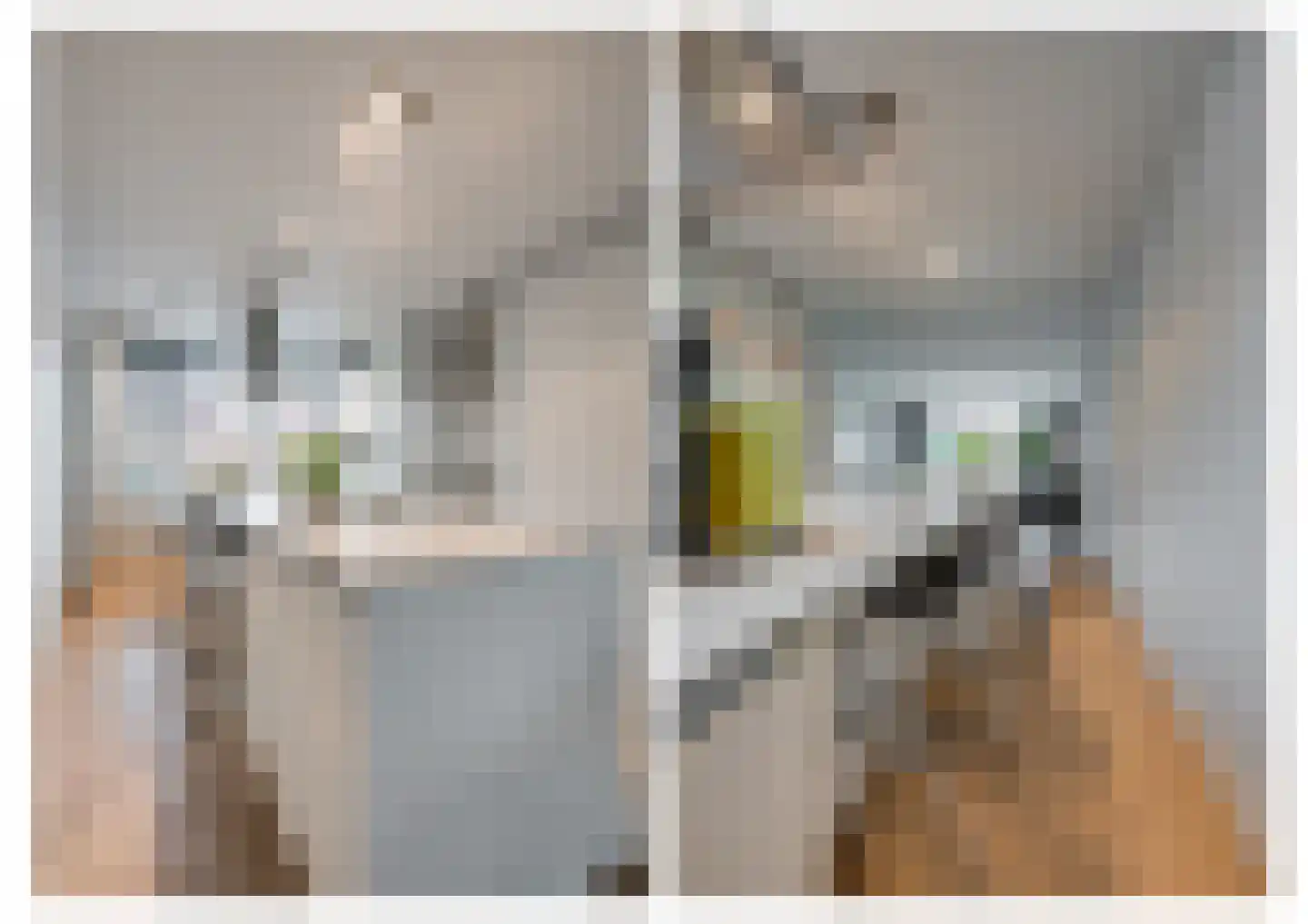 Kurt Schwittersstraat 19 Rotterdam thumbnail 7