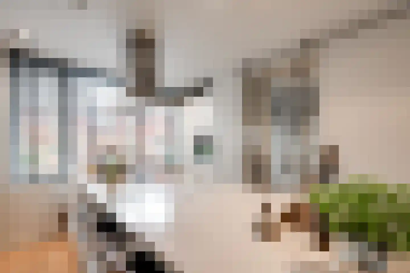 Kurt Schwittersstraat 19 Rotterdam thumbnail 8