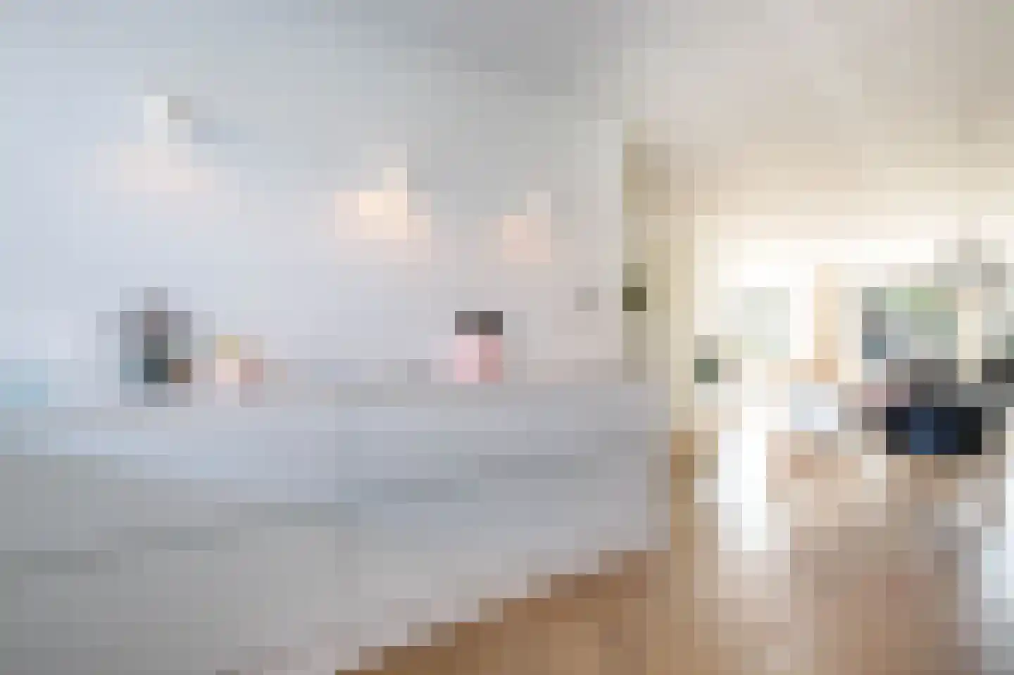 Kurt Schwittersstraat 2 Rotterdam thumbnail 19