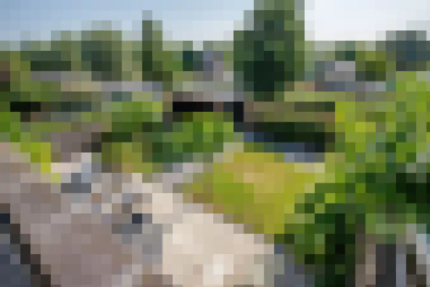 Kurt Schwittersstraat 2 Rotterdam thumbnail 35