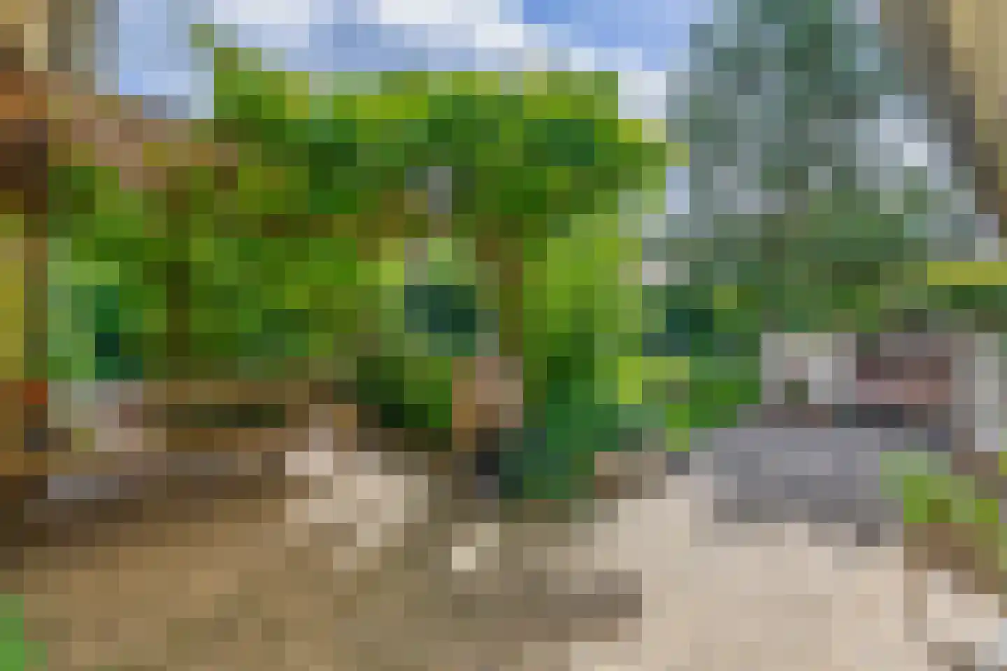 Kurt Schwittersstraat 5 Drachten thumbnail 46