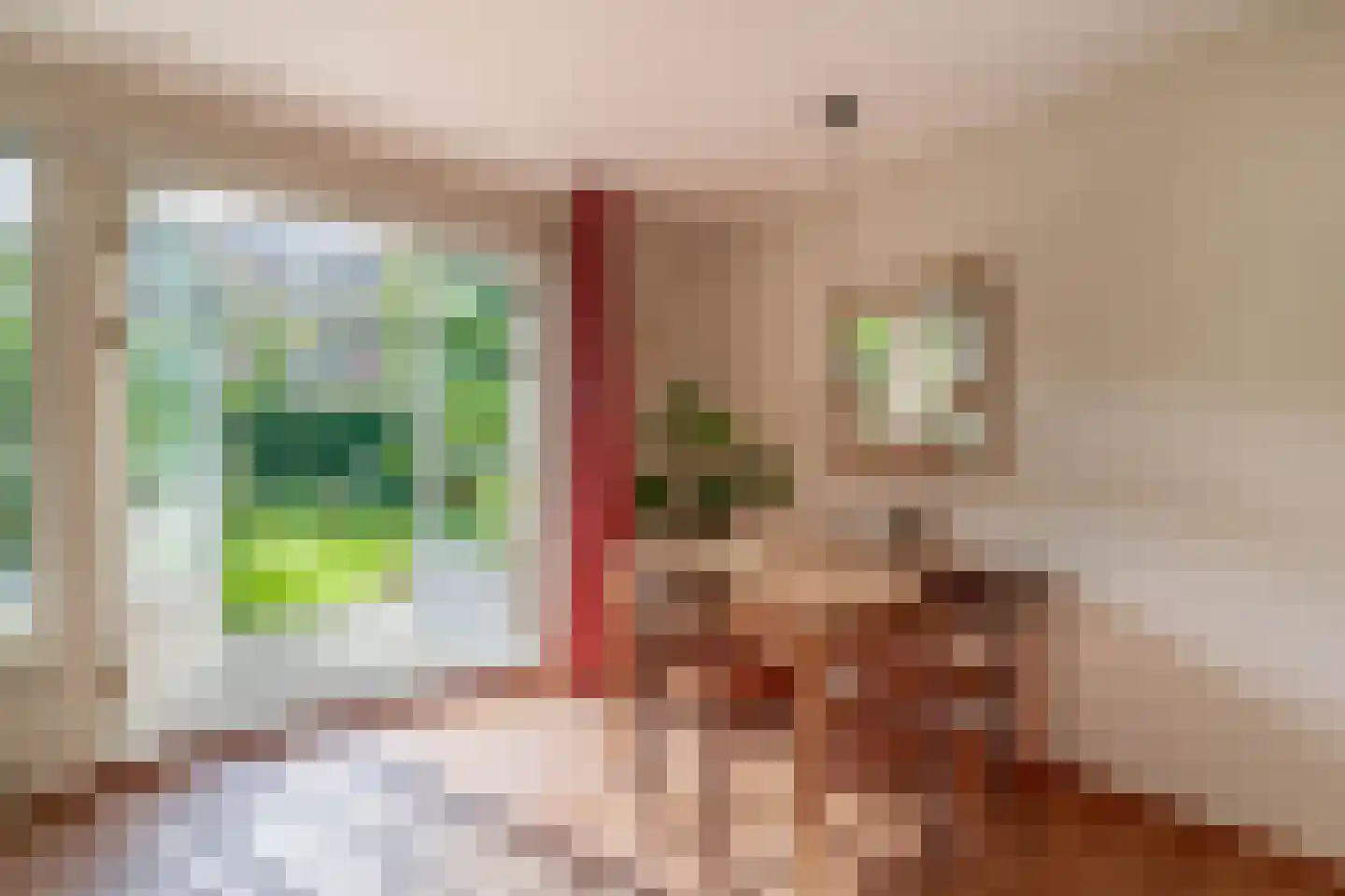 Kurt Schwittersstraat 5 Drachten thumbnail 9