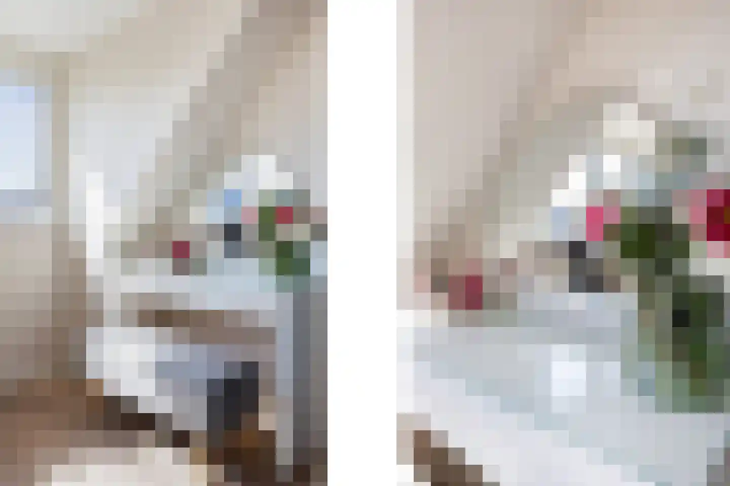 Kurt Schwittersstraat 5 Rotterdam thumbnail 34