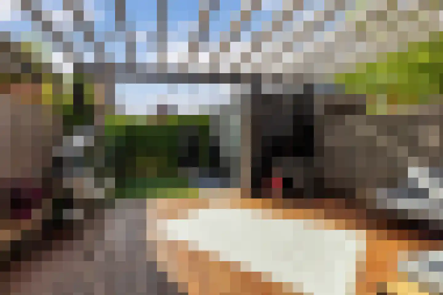 Kurt Schwittersstraat 5 Rotterdam thumbnail 4