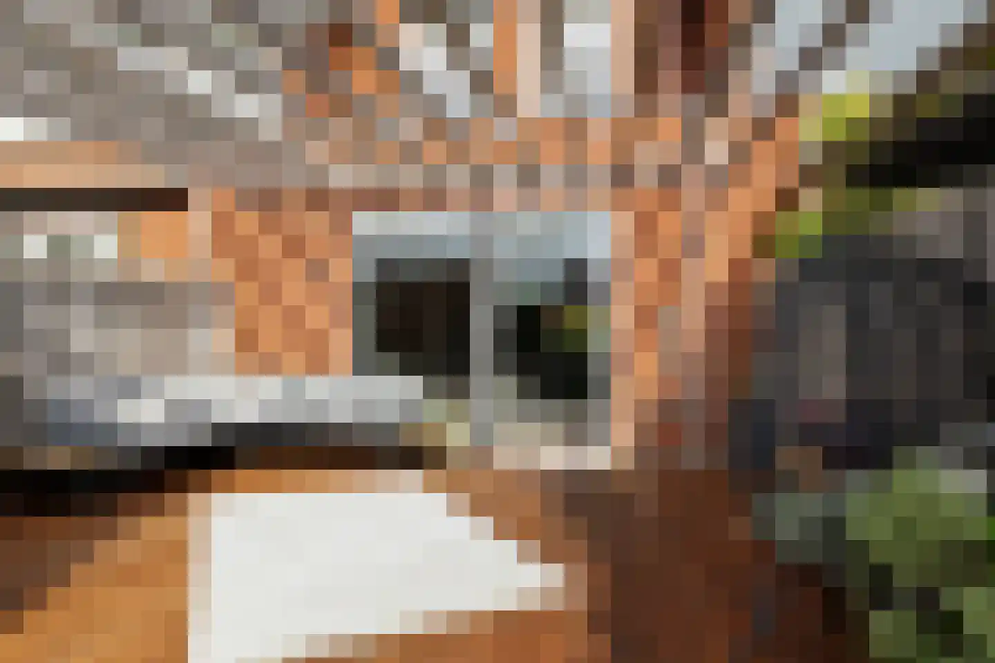 Kurt Schwittersstraat 5 Rotterdam thumbnail 44