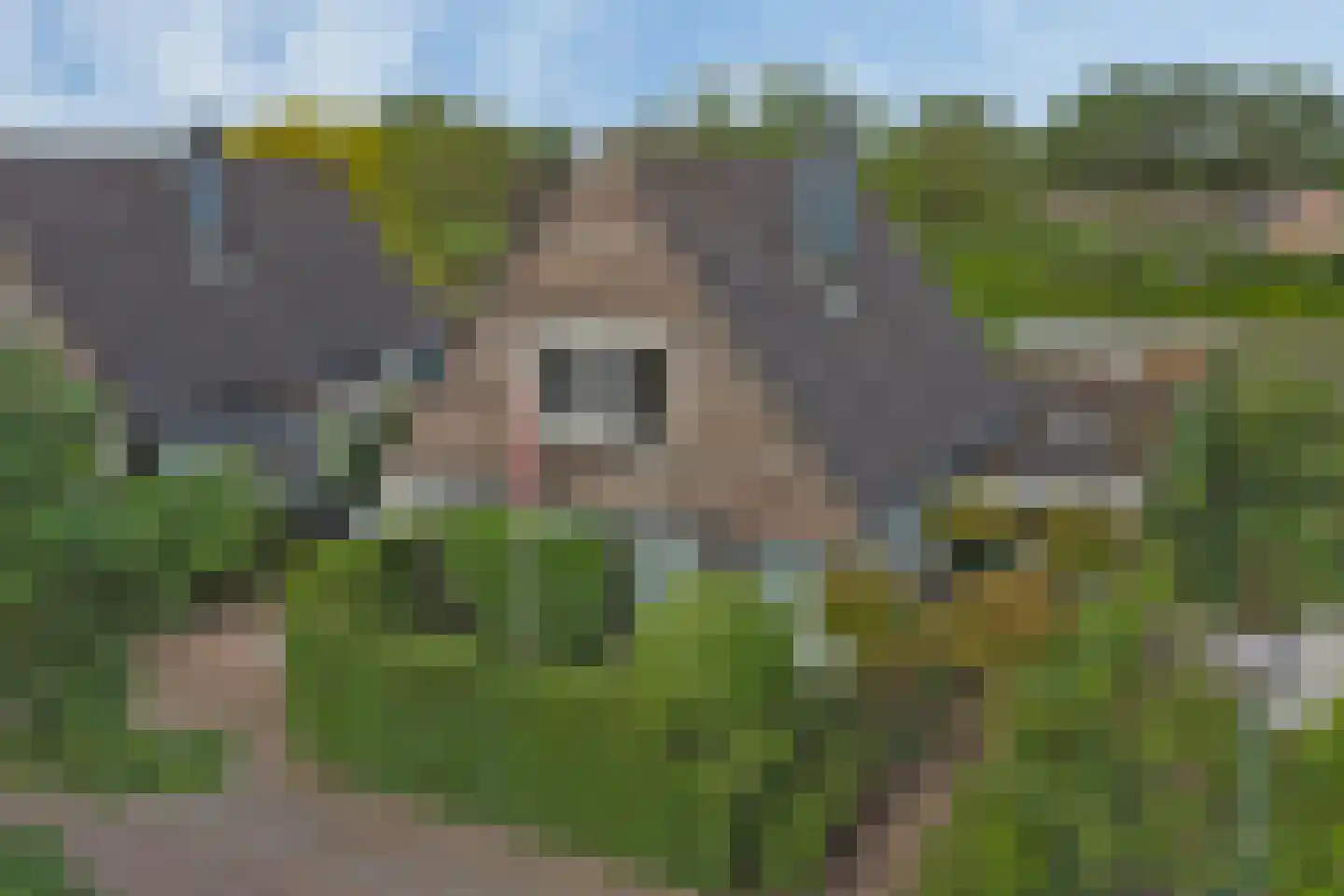 Kustersstraat 20 Gilze thumbnail 60