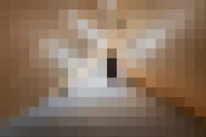 Kustersstraat 5 Gilze thumbnail 39
