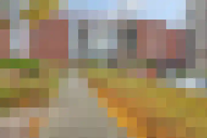 Kustvaart 11 Krimpen aan den IJssel thumbnail 29