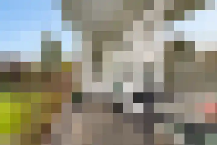 Kustweg 2 Delfzijl thumbnail 24