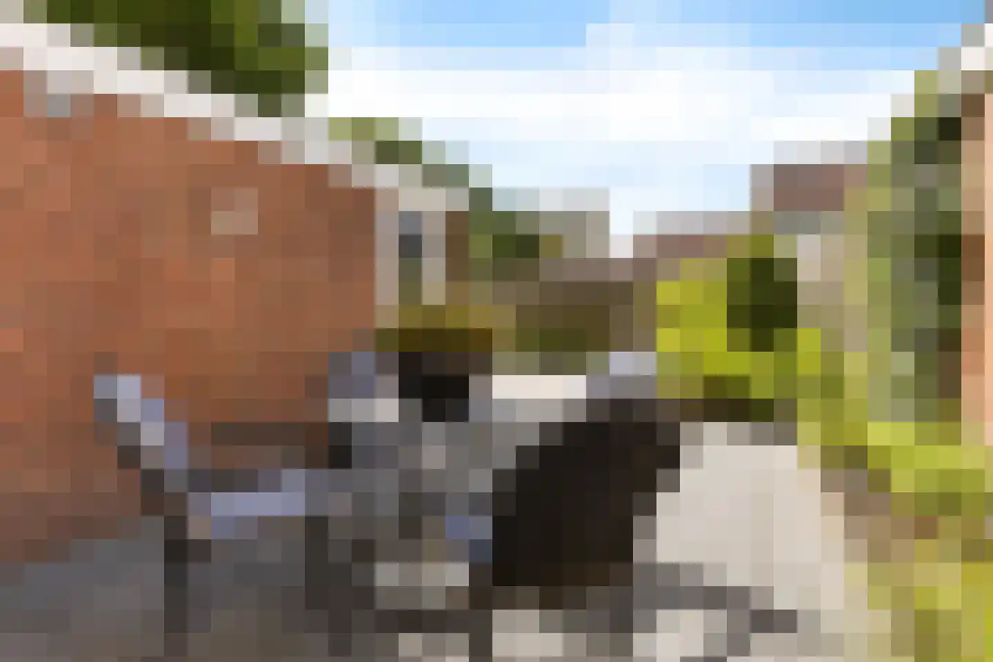 Kustweg 386 Delfzijl thumbnail 16