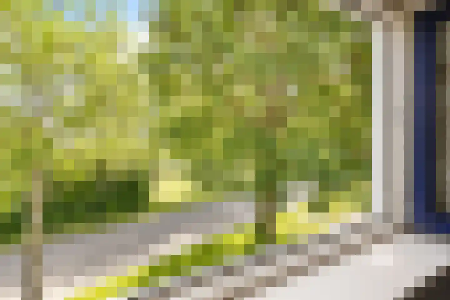 Kustweg 386 Delfzijl thumbnail 7