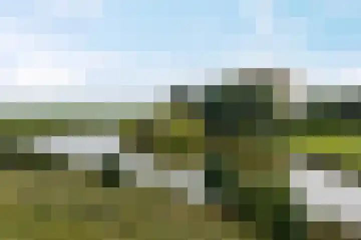 Kustweg 395 Delfzijl thumbnail 7